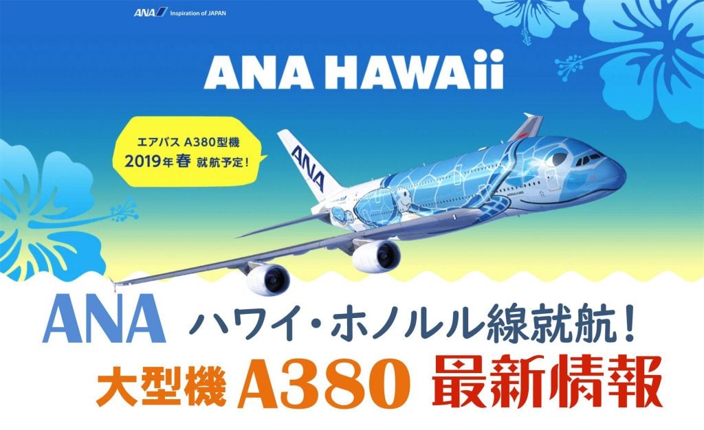 機内限定発売　ANA　フライングホヌ　AIRBUS A380　エアバス　ハワイ ハワイへの特別な翼「FLYING HONU」開発ストーリー|ANA